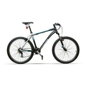 Giant Cypress DX 2 Disc